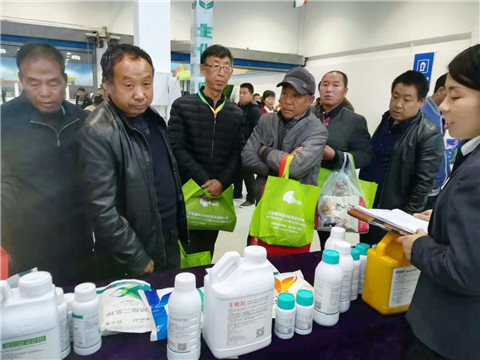 楊凌農(nóng)高會(huì),拉姆拉 楊凌農(nóng)高會(huì),拉姆拉