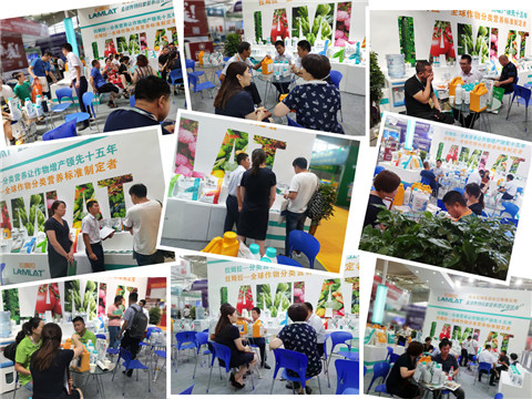 新疆，植保會，拉姆拉，翠姆，伯示麥