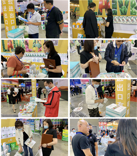 植保會(huì)，拉姆拉，翠姆