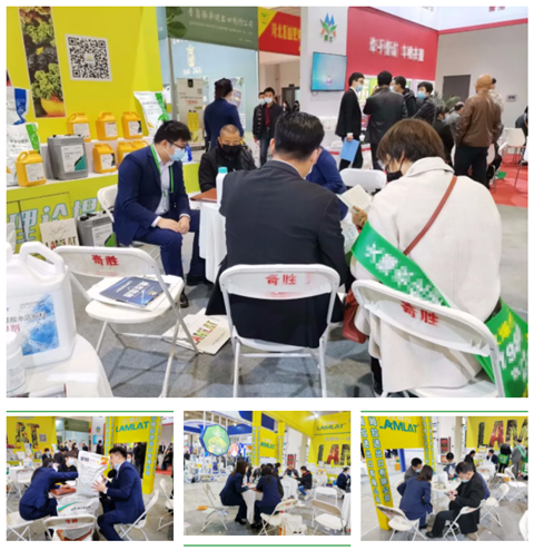 水溶肥，拉姆拉，翠姆