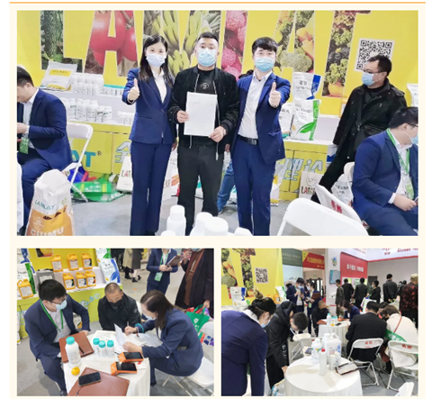 水溶肥，拉姆拉，翠姆