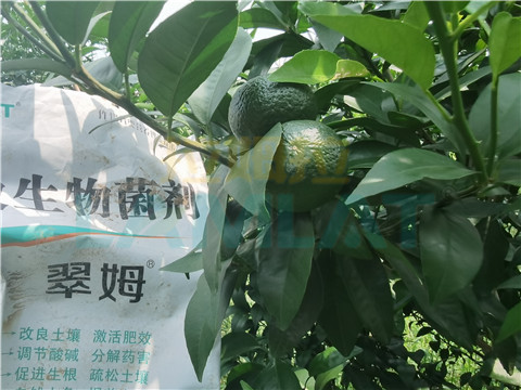 微生物菌劑，翠姆，拉姆拉