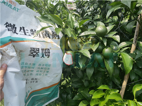 微生物菌劑，翠姆，拉姆拉