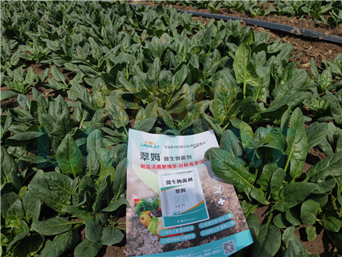 水溶肥，翠姆，拉姆拉