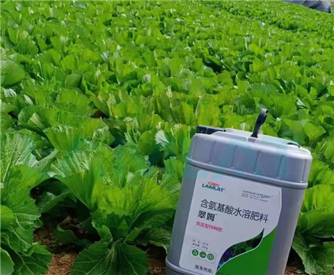 水溶肥，翠姆，拉姆拉