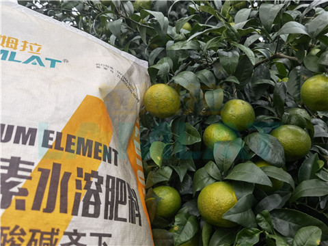 水溶肥，拉姆拉，翠姆