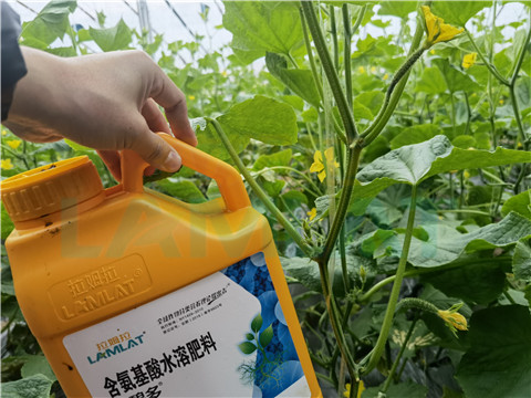 生根劑，拉姆拉，翠姆