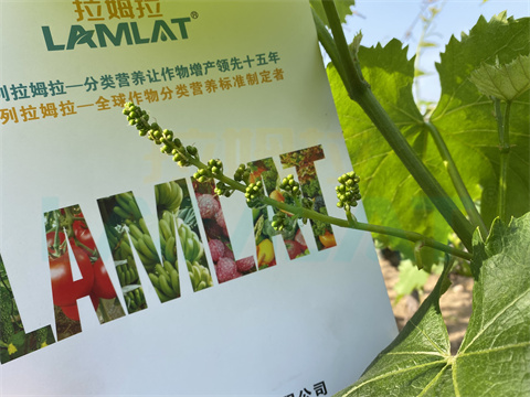 水溶肥，拉姆拉，翠姆