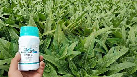 水溶肥，拉姆拉，翠姆