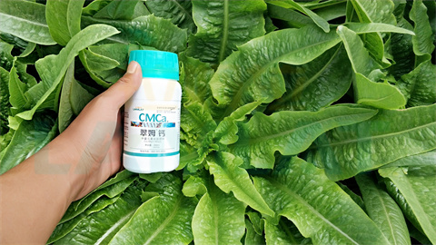 水溶肥，拉姆拉，翠姆