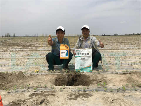 水溶肥，拉姆拉，翠姆