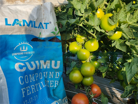 水溶肥，拉姆拉，翠姆