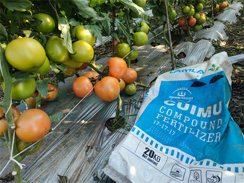 水溶肥，拉姆拉，翠姆