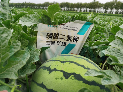 水溶肥，拉姆拉，翠姆