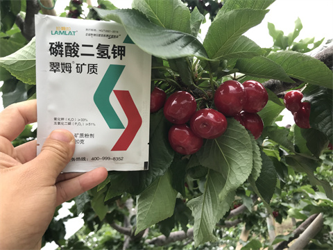 水溶肥,翠姆,拉姆拉 水溶肥,翠姆,拉姆拉