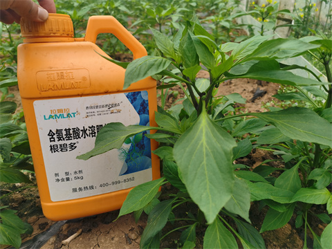 水溶肥，翠姆，拉姆拉