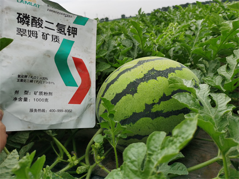 水溶肥，翠姆，拉姆拉