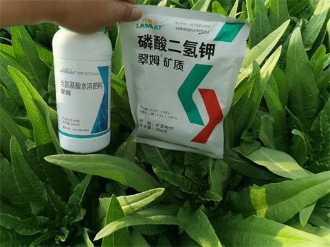 葉面肥品牌,翠姆,蔬菜葉面肥 葉面肥品牌,翠姆,蔬菜葉面肥