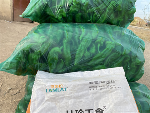 水溶肥廠家,拉姆拉,辣椒種植 水溶肥廠家,拉姆拉,辣椒種植