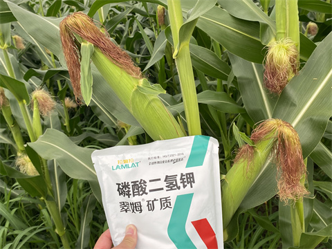 磷酸二氫鉀,翠姆,玉米葉面肥 磷酸二氫鉀,翠姆,玉米葉面肥