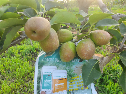 水溶肥,翠姆,拉姆拉 水溶肥,翠姆,拉姆拉