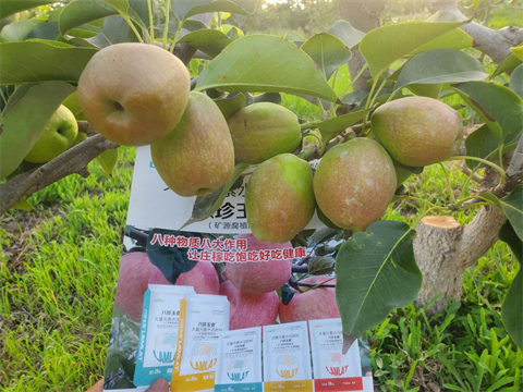 水溶肥,翠姆,香梨水溶肥 水溶肥,翠姆,香梨水溶肥