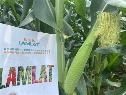 水溶肥,翠姆,玉米種植 水溶肥,翠姆,玉米種植