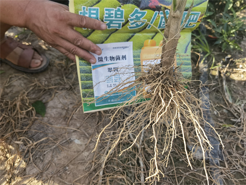 水溶肥,翠姆,拉姆拉 水溶肥,翠姆,拉姆拉