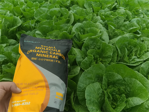 水溶肥,翠姆,白菜種植 水溶肥,翠姆,白菜種植