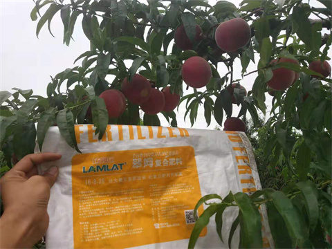 水溶肥,翠姆,桃樹水溶肥 水溶肥,翠姆,桃樹水溶肥