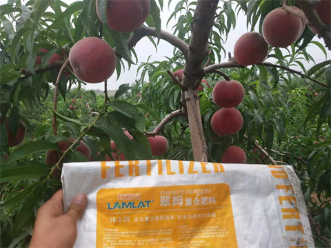 水溶肥,翠姆,桃樹水溶肥 水溶肥,翠姆,桃樹水溶肥