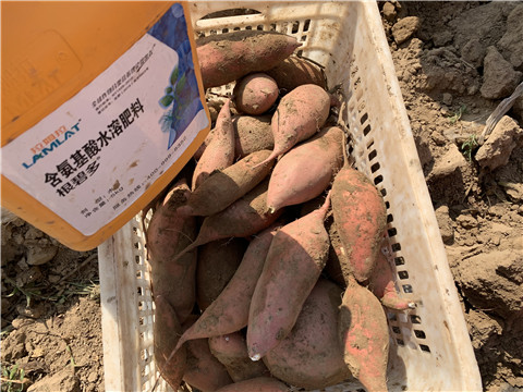 水溶肥廠家,翠姆,拉姆拉 水溶肥廠家,翠姆,拉姆拉