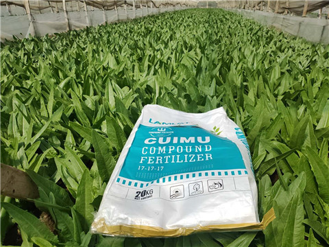 水溶肥,翠姆,油麥菜水溶肥 水溶肥,翠姆,油麥菜水溶肥