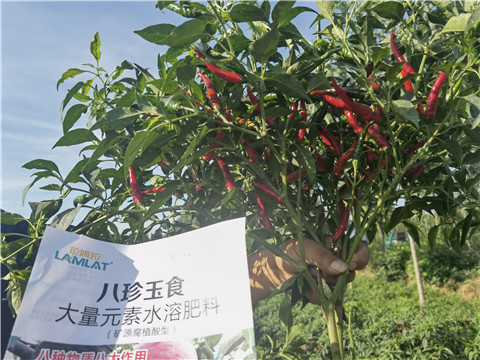 水溶肥,翠姆,拉姆拉 水溶肥,翠姆,拉姆拉