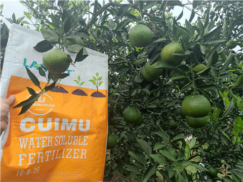 水溶肥,翠姆,柑橘水溶肥 水溶肥,翠姆,柑橘水溶肥