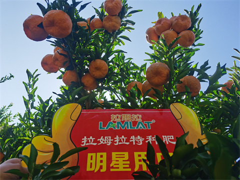 水溶肥廠家,翠姆,拉姆拉 水溶肥廠家,翠姆,拉姆拉