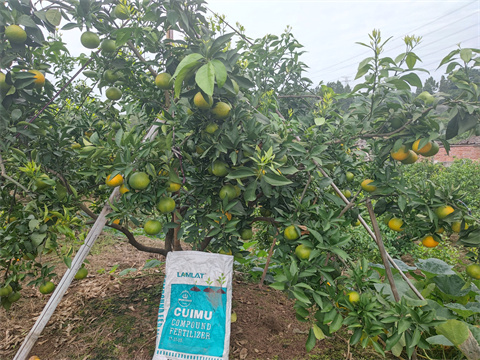水溶肥,翠姆,愛(ài)媛水溶肥 水溶肥,翠姆,愛(ài)媛水溶肥