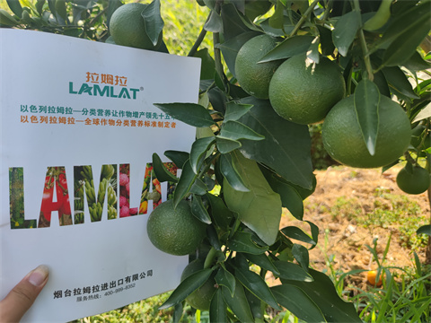 水溶肥,翠姆,愛(ài)媛水溶肥 水溶肥,翠姆,愛(ài)媛水溶肥