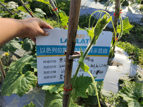 水溶肥,翠姆,黑皮冬瓜水溶肥 水溶肥,翠姆,黑皮冬瓜水溶肥