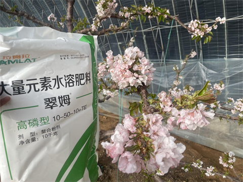 水溶肥,翠姆,櫻桃水溶肥 水溶肥,翠姆,櫻桃水溶肥