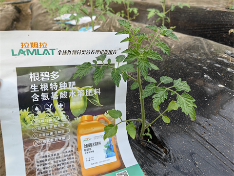 水溶肥,翠姆,西紅柿水溶肥 水溶肥,翠姆,西紅柿水溶肥