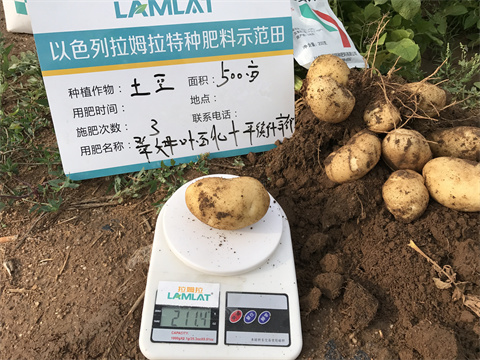 水溶肥,翠姆,馬鈴薯種植 水溶肥,翠姆,馬鈴薯種植