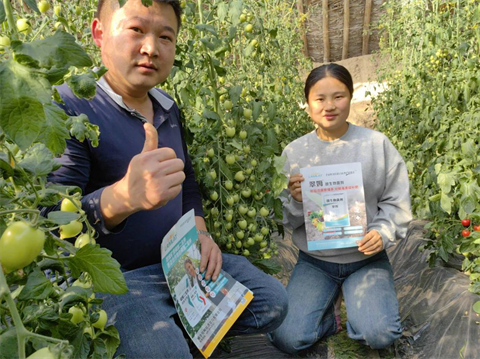 水溶肥,翠姆,拉姆拉 水溶肥,翠姆,拉姆拉