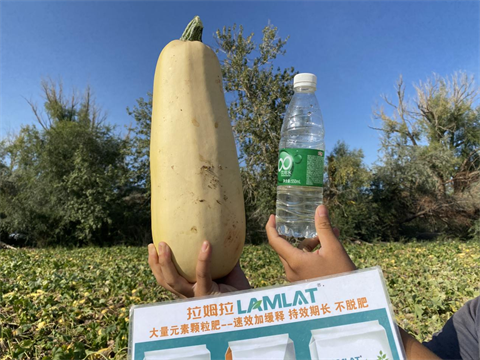 水溶肥廠(chǎng)家,葫蘆施肥,翠姆水溶肥