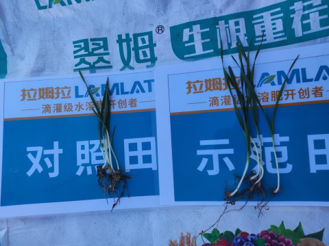 水溶肥廠家,大田種植,拉姆拉滴灌級特種肥